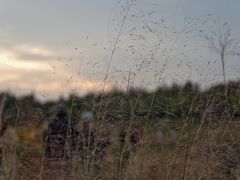 -艾溪湖湿地公园