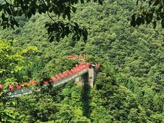 -娄山关景区