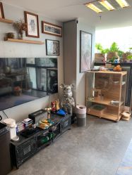 -極致刺青TATTOO STUDIO 私人订制