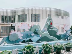 -荷花荡