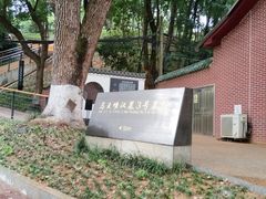 -马王堆汉墓遗址