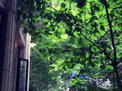 -Pasha帕夏土耳其餐厅(南昌路店)