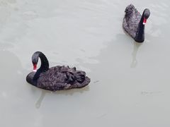 -琅岐红光湖公园