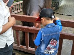 -贵州森林野生动物园