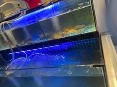 -老地方海鲜坊(步行街店)