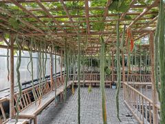 -兰陵国家农业公园