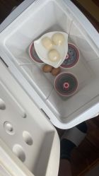 -禧悦府国际月子会所(总店)