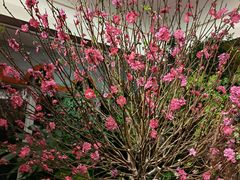 -颐而康·按摩·艾灸·足疗(汽车东站店)