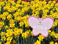 -玄武湖景区-情侣园游乐场