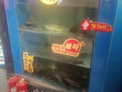 -鱼酷活鱼烤鱼(梅江印象城店)
