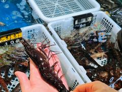 -流舫海鲜酒家(张溪店)