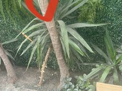 -钟方模白家肥肠粉(春熙店)