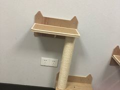 -联合动物医院(光谷诊疗中心)
