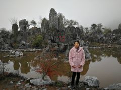 -千岛湖石林