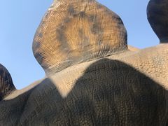 景点-自然谷恐龙园