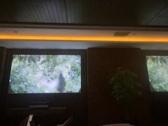 -浅深Cheersum(曹杨店)