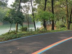 -红花湖景区