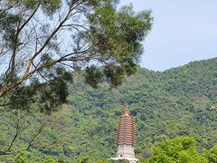 -深圳仙湖植物园