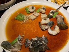 -甄御•海鲜新青岛菜(麦岛店)