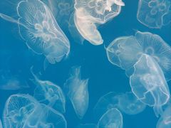 -多彩贵州城极地海洋世界