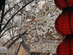 -灵谷景区