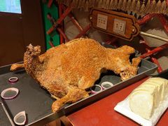 -九十九顶毡房(阜石路店)