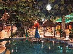 -泉城欧乐堡戏水湾艺术养生温泉