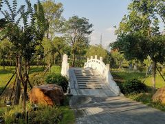 -王借岗森林公园