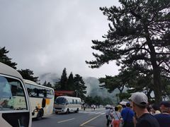-庐山风景区花径公园