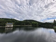 -庐山风景区花径公园