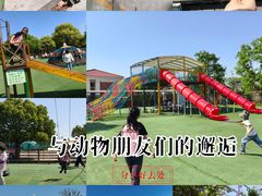-苏州太湖西山岛开心农场