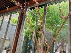 -VOYAGE COFFEE(杨梅竹店)