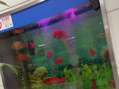-雅悦齿科(顾村公园店)