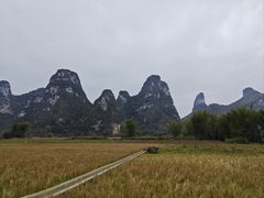 -明仕田园