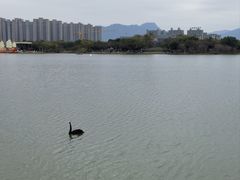 -琅岐红光湖公园