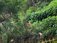 -湖洞水自然风景区