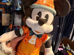 -巴黎迪士尼乐园