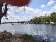 -长春市南湖公园