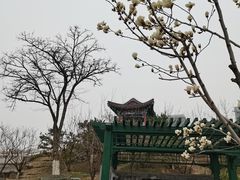 -西海子公园