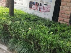 -裕和堂中医推拿艾灸(太古汇臻品店)