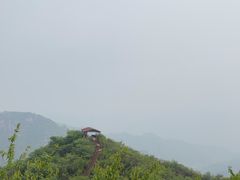 -大岭沟猕猴桃谷风景区