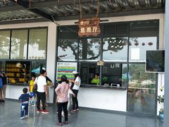 -芦仙山景区-飞越丛林探险乐园