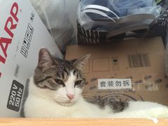 -纳吉亚猫专科动物医院博雅分院