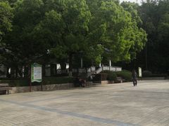 -赭山公园