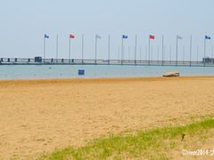 -碧海金沙