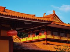 -三水森林公园