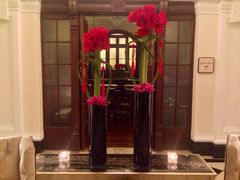 -LONG BAR 廊吧(外滩华尔道夫酒店)