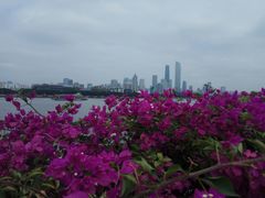 -珠江夜游广州塔·中大码头