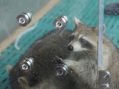 -珠海海泉湾神秘岛亲子乐园