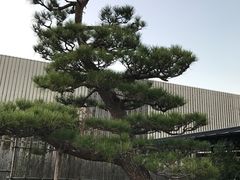 -南紀白浜 浜千鳥の湯 海舟